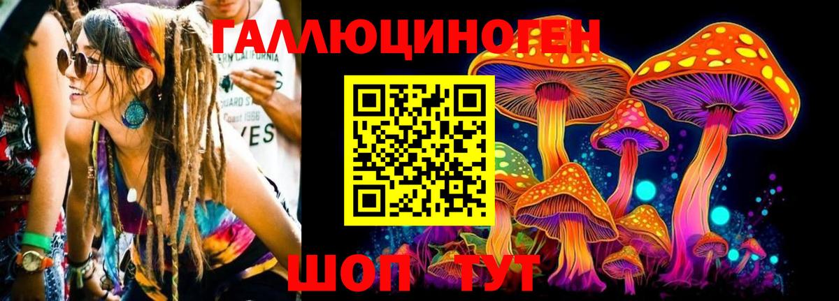 Галлюциногенные грибы Magic Shrooms Гусиноозёрск